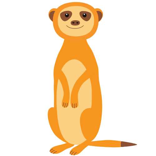 dessin d'un suricate